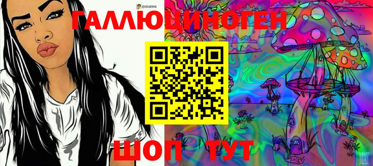 Жуковский  Псилоцибиновые грибы мицелий  Вход с VPN 
